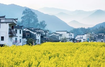 谷雨是不是春天最后一个节气 谷雨是第几个节气