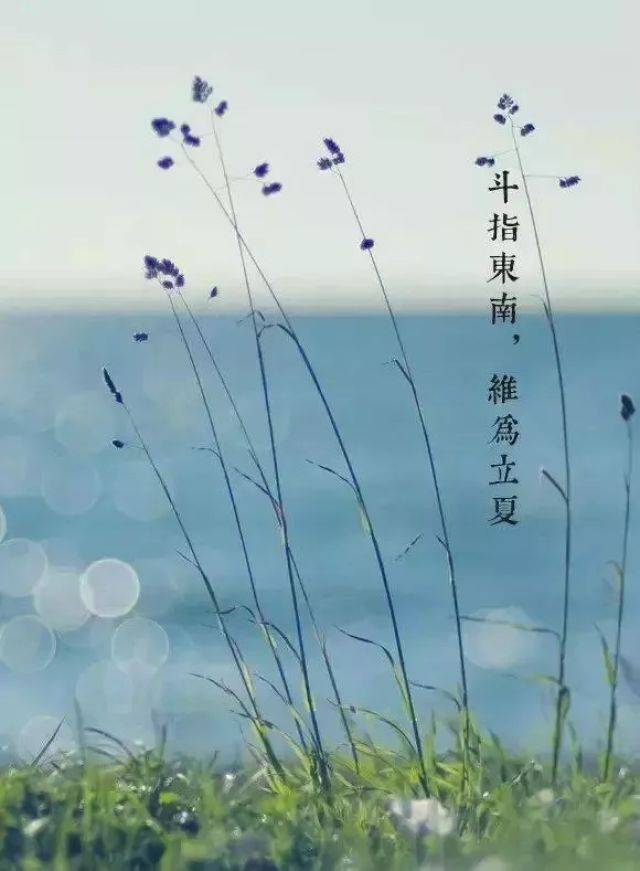 立夏出生的人是什么命 生于立夏那天的命运 立夏前几个小时出生