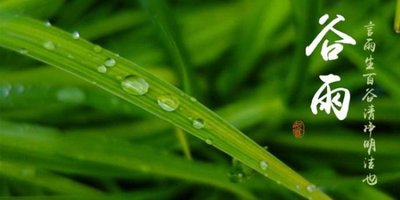 谷雨会一直下雨吗 谷雨会不会下雨 谷雨下雨有什么说法