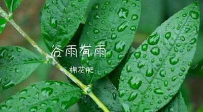 谷雨白天长还是夜里长 谷雨的特点是什么意思