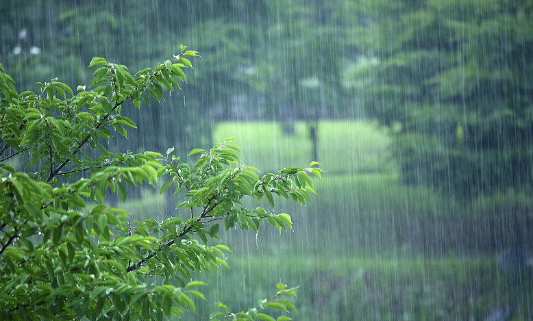 2021年梅雨季节起止时间 2021年梅雨季节什么时候开始和结束 2021年梅雨季节是几月份