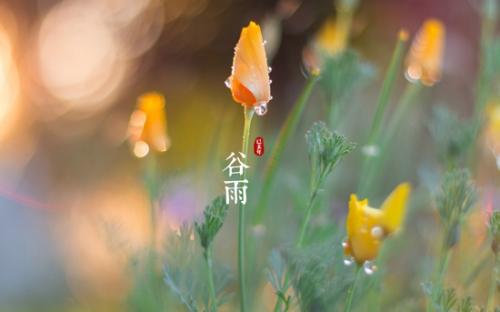 谷雨吃什么传统美食 谷雨吃什么传统食物 节气