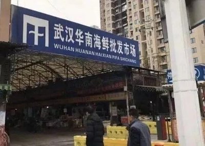 华南海鲜市场动物制品未发现阳性 中国是首个和世卫组织溯源的国家