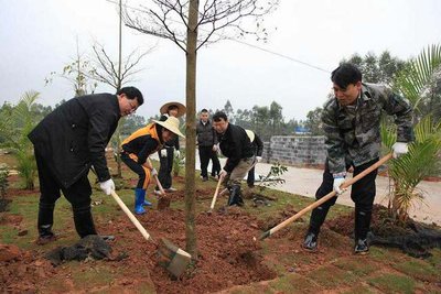 清明后不宜种树吗 清明节后种什么