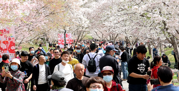 2021北京清明节天气如何 2021清明节北京天气情况 北京4月4日天气