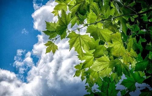 今年夏天会很热吗2021 今年夏天会比去年热吗