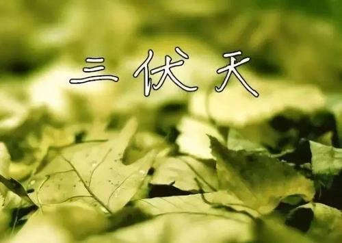 三伏天是什么意思 三伏天是哪个季节