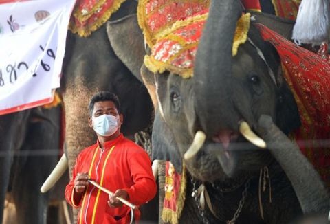 泰国考虑为外国游客提供免费机票 泰国考虑游客提供免费机票