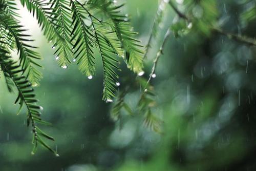 2021年夏天雨水多吗 2021年夏天会比2020年热吗