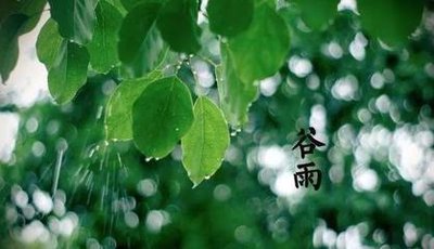 谷雨节气的含义是什么 谷雨节气的寓意是什么