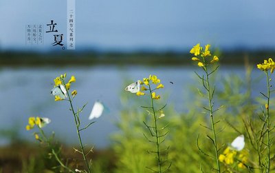 立夏节气的含义是什么 立夏有什么寓意