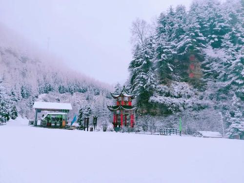 四月份下雪发朋友圈短句 四月的雪怎么形容发朋友圈