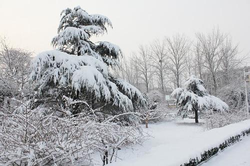 四月下雪的说说心情短语 四月飘雪的唯美句子