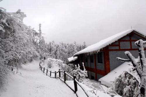 四月下雪的说说心情短语 四月飘雪的唯美句子