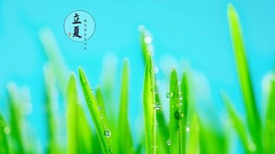 立夏有什么禁忌吗 立夏节气有什么讲究