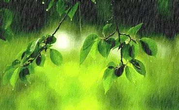 梅雨季节是什么时间2021 梅雨季节是几月份到几月份结束