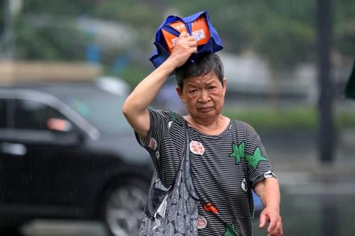 梅雨季节是什么意思 梅雨季节的梅雨是什么意思