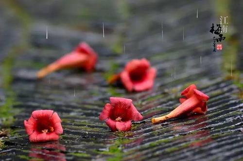 2021梅雨季节怎么防止家里发霉 梅雨季节是什么原因引起的