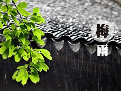 2021湖南梅雨季节持续多久 梅雨季节兰花可以一直淋雨吗