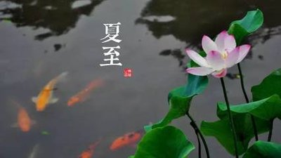 夏至怎么养生 夏至养生应该注意些什么