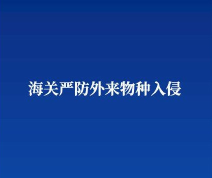 金陵海关截获巨人粉红脚蜘蛛 外来生物入侵的危害有哪些