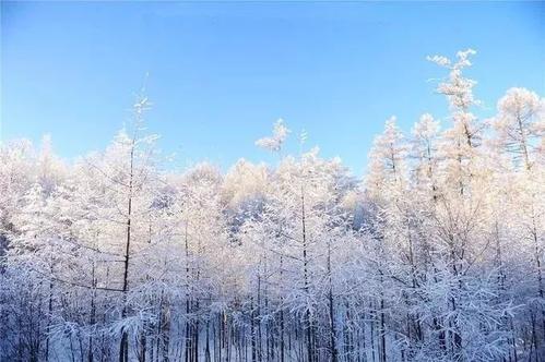 呼伦贝尔4月大雪纷飞 4月下雪怎么发朋友圈