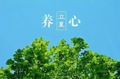 立夏需要进补吗 立夏吃什么补身体