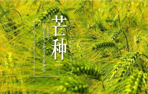 2021芒种后九天交运怎么算 芒种后九天是哪一天