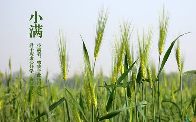 2021小满是几月几日日几点 2021小满是哪一天什么时间