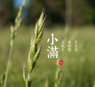 小满节气的含义是什么 小满节气的寓意和传统