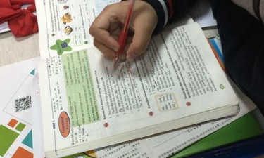 小学一二年级不布置书面家庭作业 小学布置作业太多怎么办