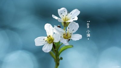 小满节气要吃什么好 小满节气吃什么传统食物