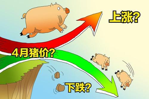 猪肉价格跌破每斤15元 猪肉价格为什么下降这么厉害