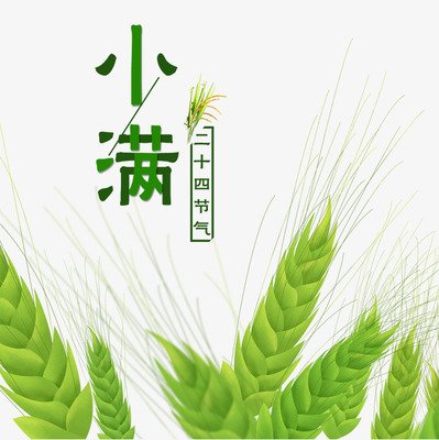 2021小满节气是什么时候 2021年小满节气是多少号