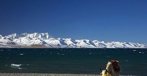 五一去西藏怎么玩 五一西藏旅游攻略