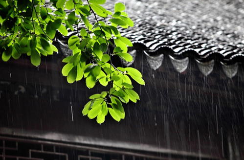 端午节下雨有什么寓意 端午节下雨有什么说法