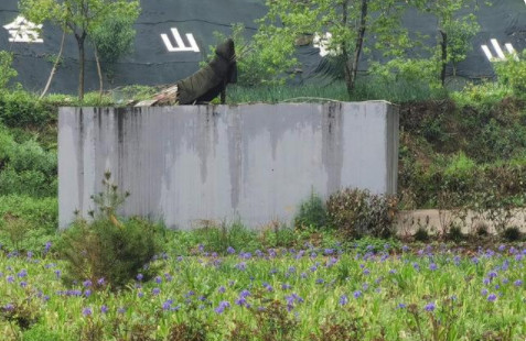 优秀示范村农民自建厕所不敢用  优秀示范村 的尴尬