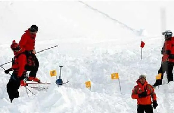 法国萨瓦省阿尔卑斯山区发生雪崩 阿尔卑斯山雪崩事件 阿尔卑斯山雪崩的原因