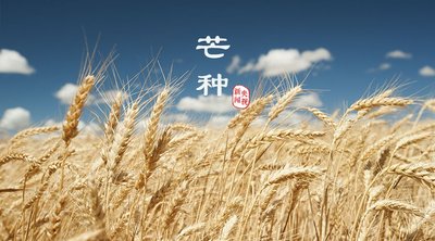 芒种节气的特点是什么 芒种节气的含义及其特点