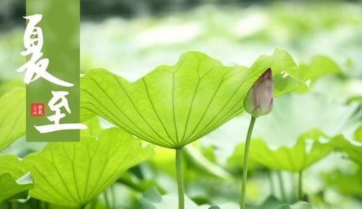 夏至是指夏天即将到来吗 夏至是夏天结束了吗