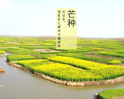 2021芒种节气是什么时候 2021芒种是哪一天什么时间