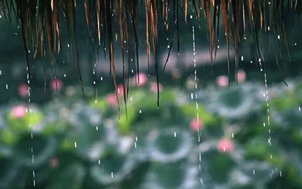 梅雨季节适合装修吗 装修要避开梅雨季节吗 梅雨季节做木工有影响吗