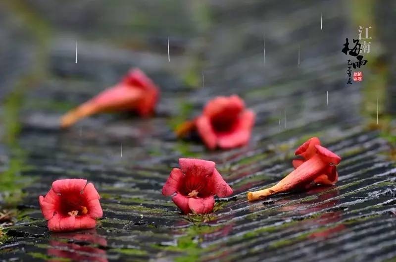 梅雨季节下雨天晚上要开窗吗 梅雨季节新房可以开窗通风吗