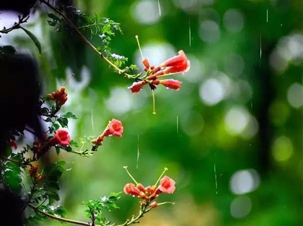 梅雨季节下雨天晚上要开窗吗 梅雨季节新房可以开窗通风吗