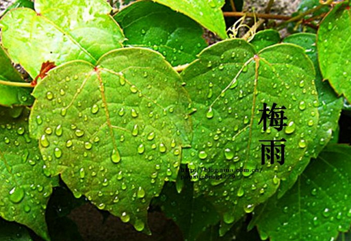 梅雨季节2021什么时间入梅 梅雨季节是什么时间