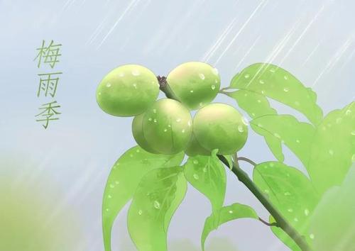 梅雨季节2021什么时间入梅 梅雨季节是什么时间