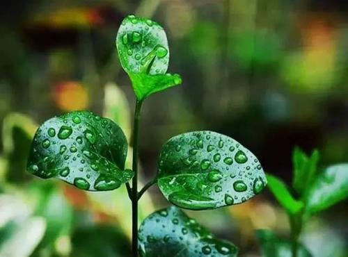 梅雨季节怎样防止家里发霉 梅雨季节怎么保持室内干燥