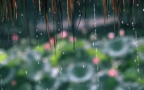 梅雨季节家里潮湿开窗还是关窗 梅雨季节是怎么形成的