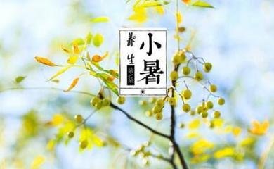 小暑节气的祝福短信 小暑节气的祝福语