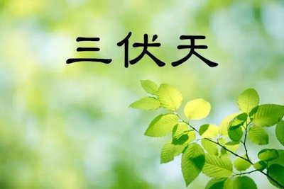 三伏天要怎么调理身体 三伏天要怎么养生